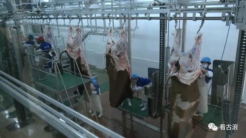 市政協(xié)調(diào)研組赴古浪縣調(diào)研農(nóng)產(chǎn)品加工產(chǎn)業(yè)發(fā)展情況，聚焦超聲技術(shù)賦能產(chǎn)業(yè)升級